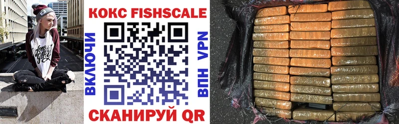 купить наркотик  Новый Оскол  MEGA   COCAIN Fish Scale 