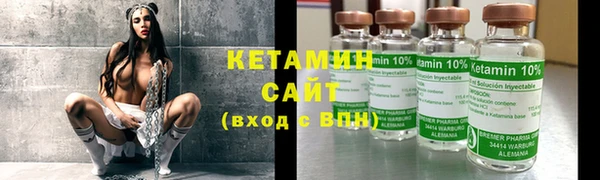 прущие грибы Новодвинск