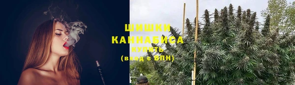 стаф Аркадак