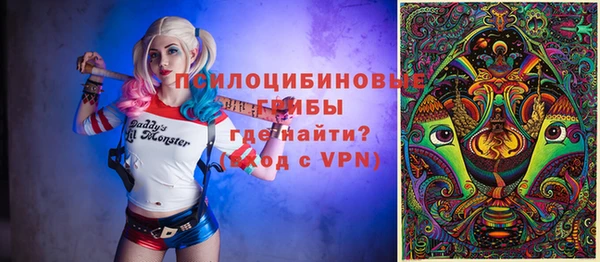 эйфоретик Баксан