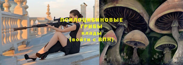 трава Балахна