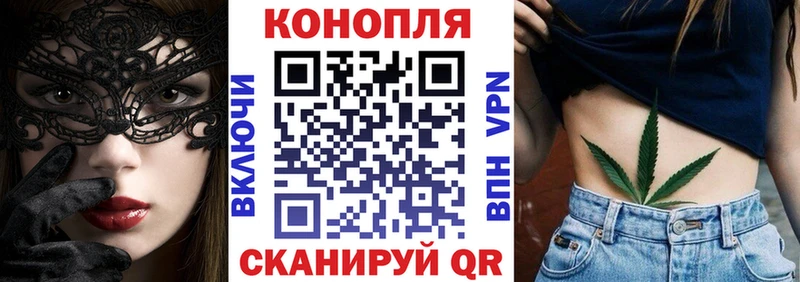 Канабис сатива omg как войти Новый Оскол
